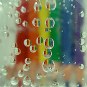 6b8384907c_51648499_o2